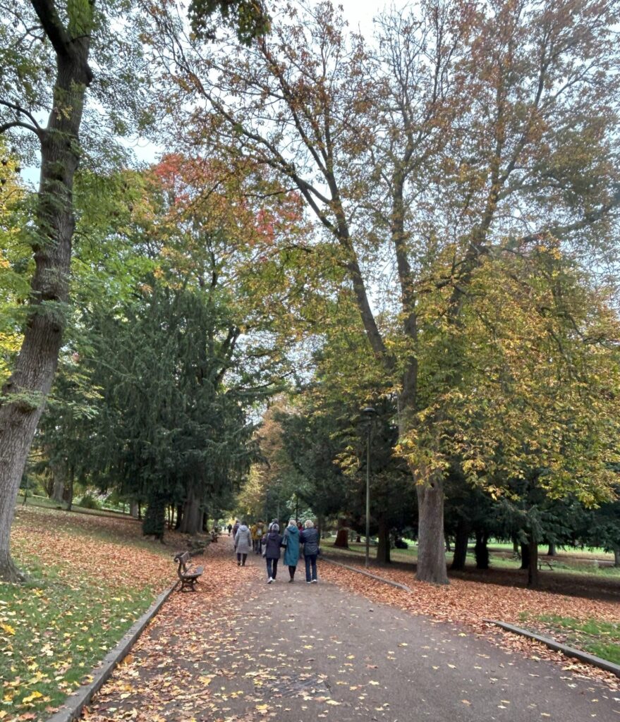 A walk in the Park at Walsall Arboretum