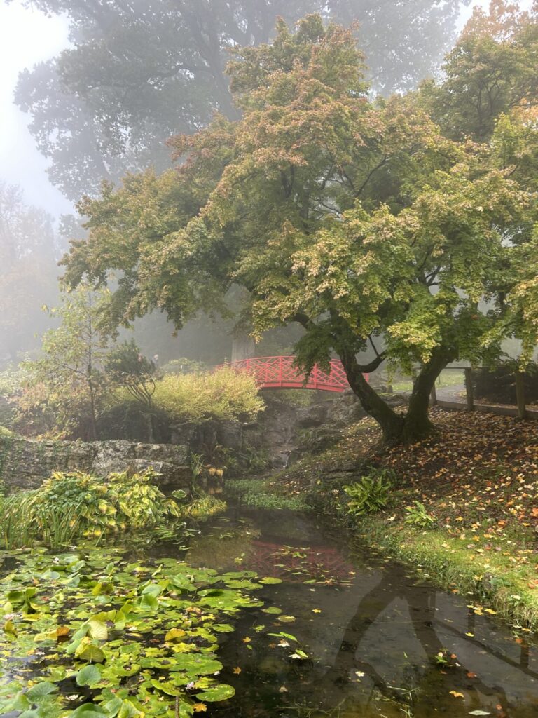 Batsford arboretum -Japanese Bridge  over a pond