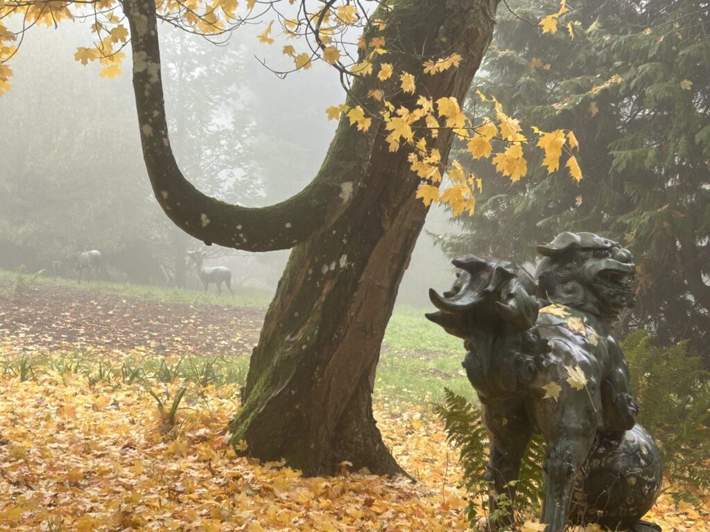 Batsford arboretum -  the mythical Foo Dag with a Japanese deer in the misty background