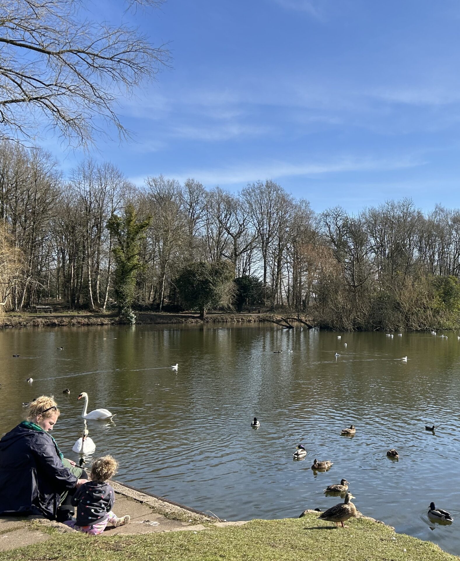 Market Bpsworth Country Park - feeding the ducks