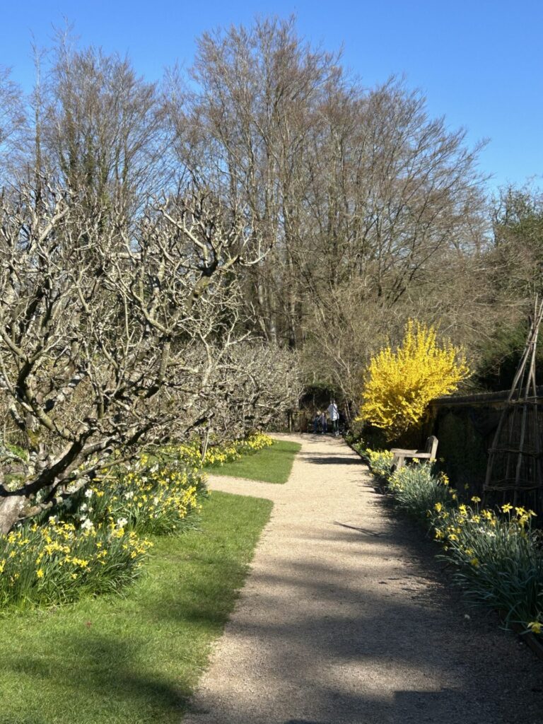 Hughenden Manor Walled Garden