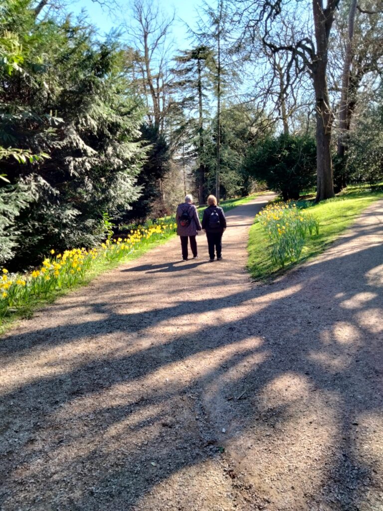 A stroll in the grounds