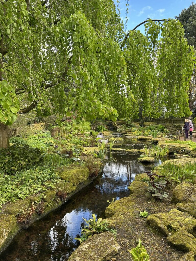 Bridgewater show Gardens - Pond & Waterfall