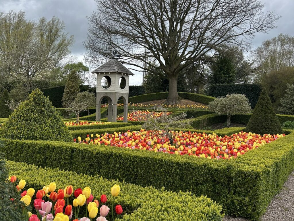 Bridgewater show Gardens - Victorian Garden - tulips display