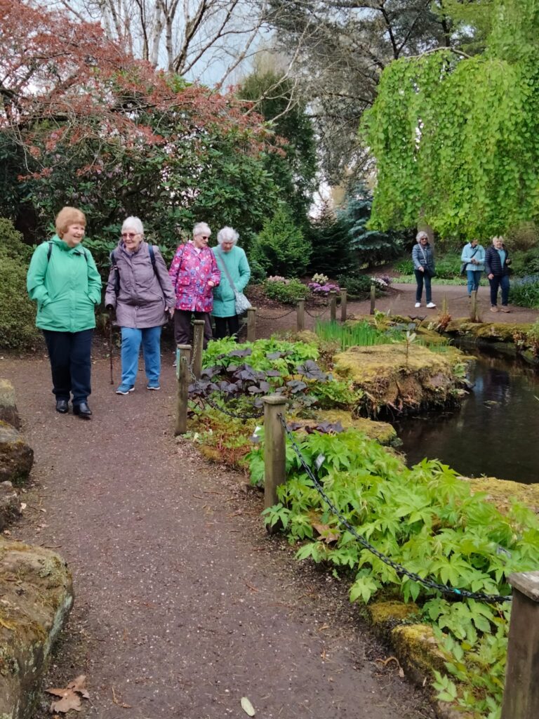 Bridgemere Garden Center show Gardens -Pond & Waterfalls