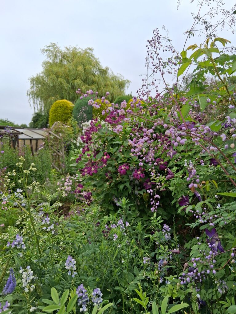 Grafton Cottage - Blue themed flowers